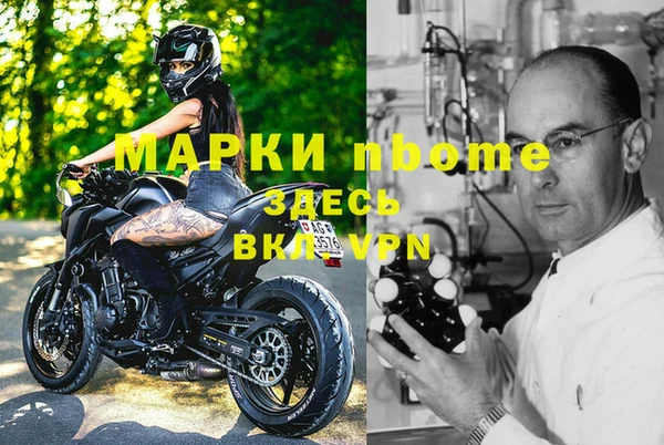 шишки Аркадак